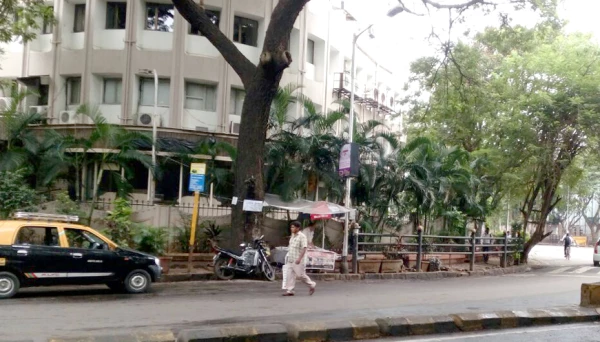 संपामुळे वर्दळ मंदावली 