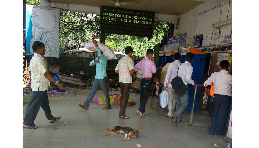 Mumbai Stray Dogs May Soon Disappear from Public Places as BMC Plans New Sanctuary