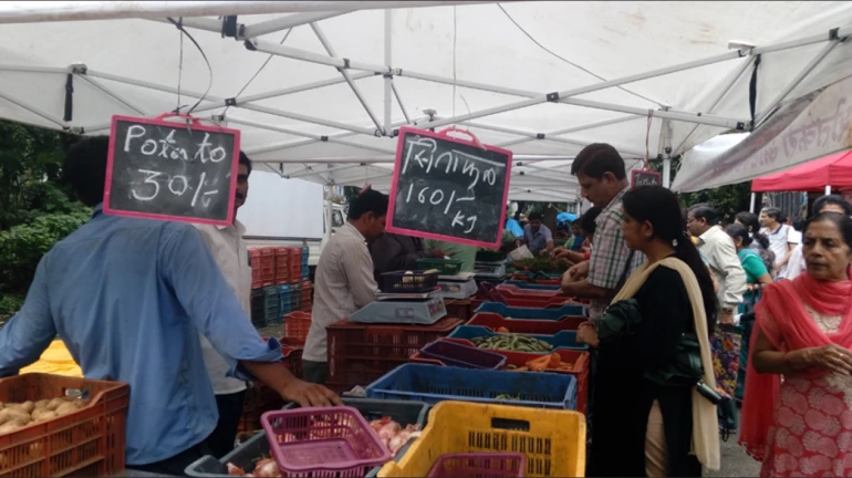 किराना और सब्जियों सहित अन्य दूकानों के लिए बनाये गए नये नियम किराना और सब्जियों सहित अन्य दूकानों के लिए बनाये गए नये नियम