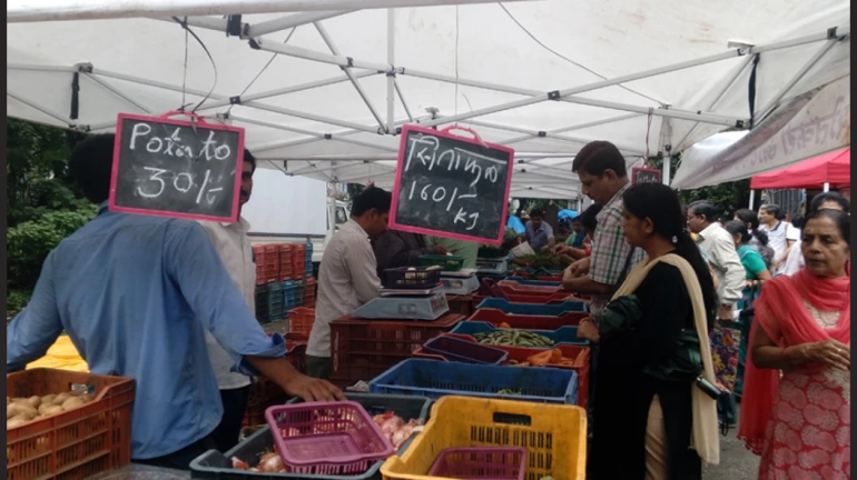 Mumbai Rains: भाज्यांचा पुरवठा घटला, भावही वाढले Mumbai Rains: भाज्यांचा पुरवठा घटला, भावही वाढले