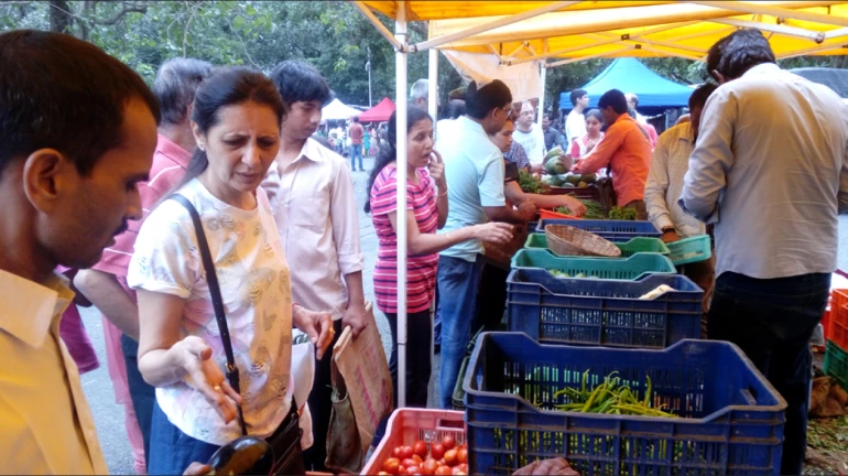 मुंबई में सब्जियों के दाम बढ़े, आमदनी घटी