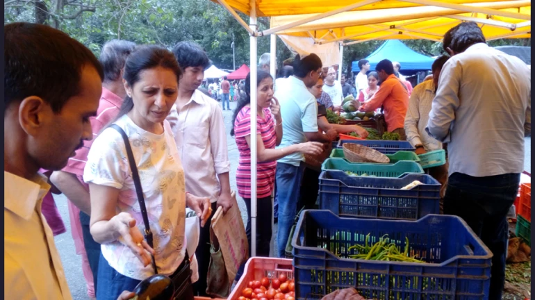 Tomato Prices Cross INR 100-mark across Maharashtra, including Mumbai