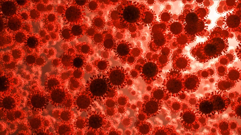 COVID-19 surge to continue for three more weeks: Experts COVID-19 surge to continue for three more weeks: Experts