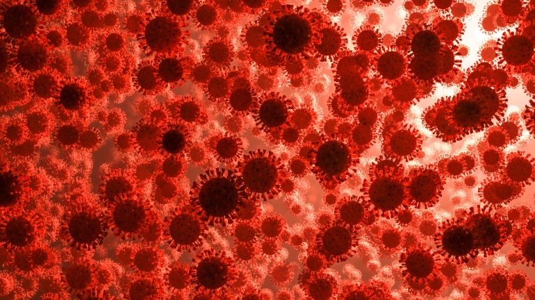 HMPV Outbreak: Maharashtra Govt Issues Advisory After 2 Cases Detected in Nagpur - Here's All You Need To Know HMPV Outbreak: Maharashtra Govt Issues Advisory After 2 Cases Detected in Nagpur - Here's All You Need To Know