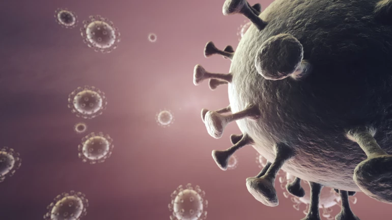 Three COVID-19 vaccine doses like to become routine, says Fauci Three COVID-19 vaccine doses like to become routine, says Fauci