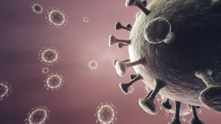 What is ‘Mucormycosis’ or ‘Black Fungus’ and How Does it Impact COVID-19 Patients? What is ‘Mucormycosis’ or ‘Black Fungus’ and How Does it Impact COVID-19 Patients?