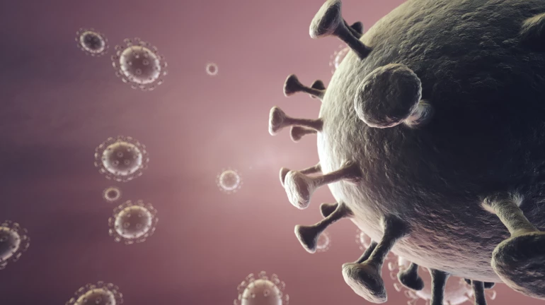 ठाणे में COVID-19 मामलों में मामूली बढ़ोत्तरी ठाणे में COVID-19 मामलों में मामूली बढ़ोत्तरी