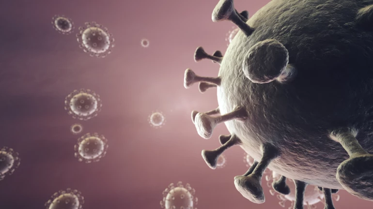 Pune: In one year, most COVID-19 deaths were in 51-70 age group Pune: In one year, most COVID-19 deaths were in 51-70 age group