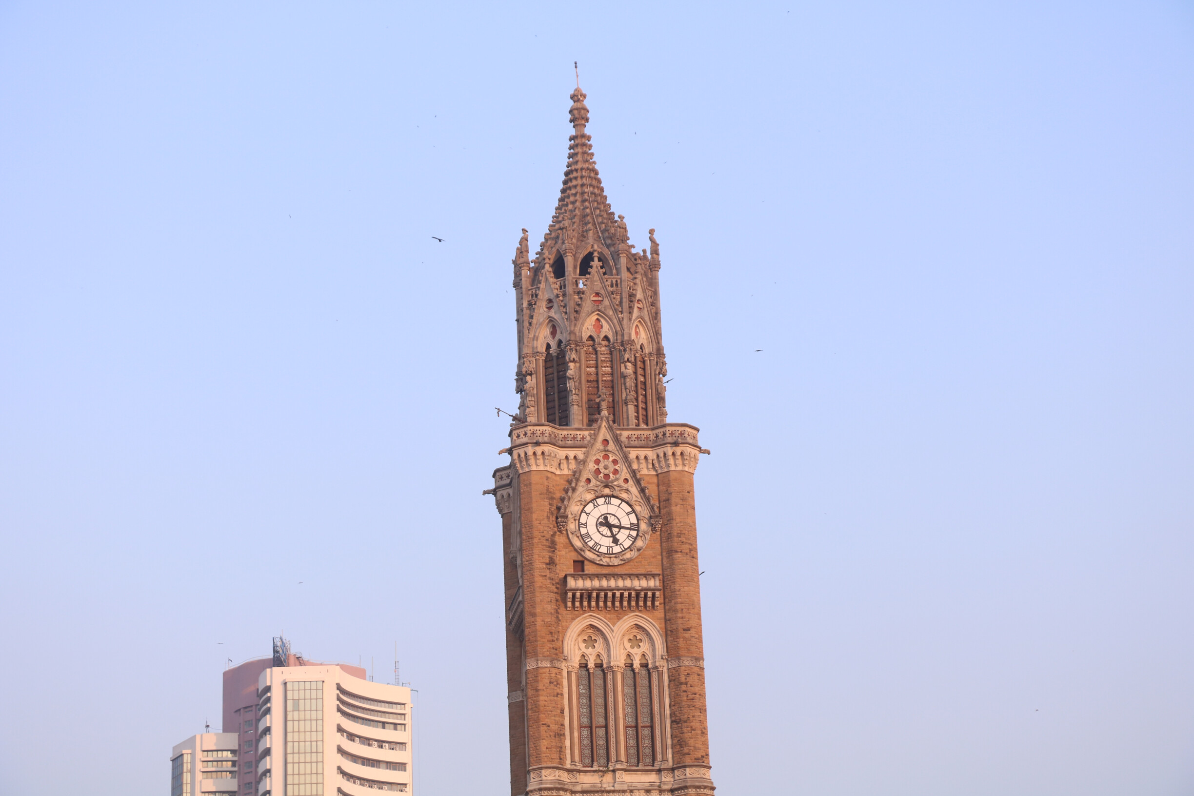 Maharashtra Officials Facing Pressure From Politicians To Include Forts From Their Districts in the Final UNESCO World Heritage List