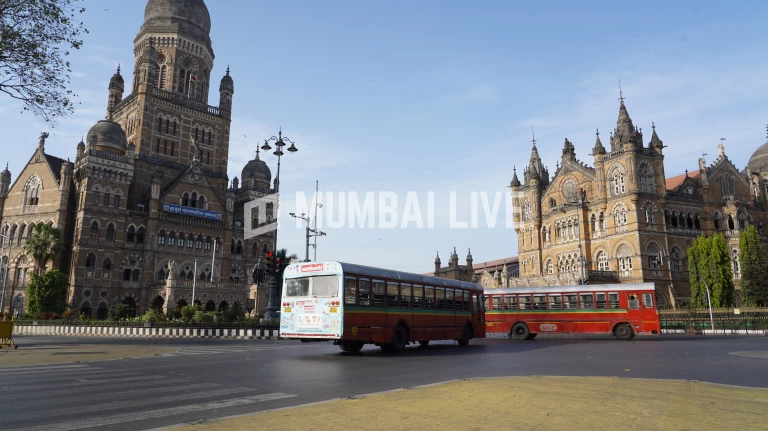 Mumbai: BMC to build 100-bed veterinary hospital in Malad