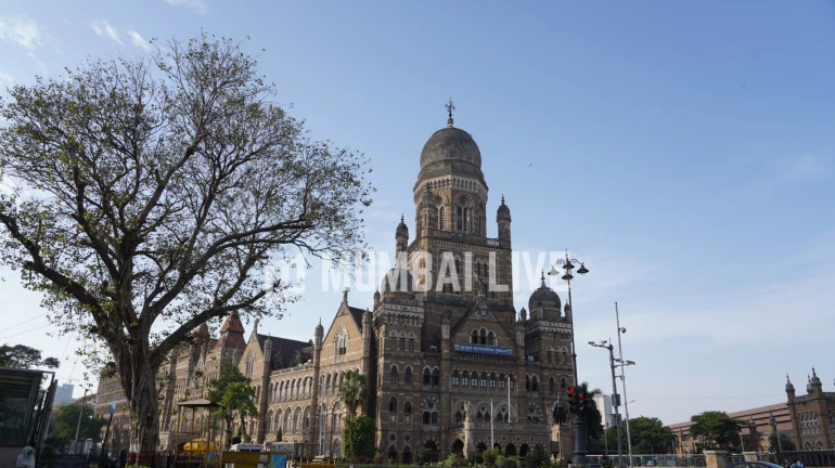 बीएमसी प्रभागांच्या आरक्षणात १० वर्षांनी होणार बदल बीएमसी प्रभागांच्या आरक्षणात १० वर्षांनी होणार बदल