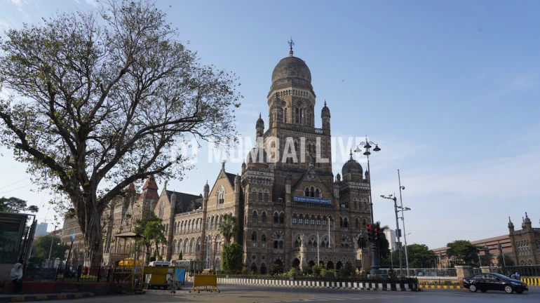 Congress retains LoP position in BMC after Bombay HC rejects BJP leaders' plea
