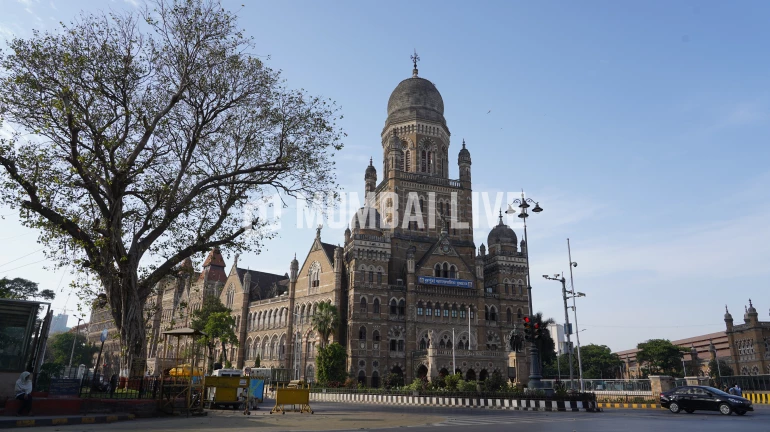 ६ महिन्यानंतर मुंबई पालिकेच्या निवडणुका होण्याची शक्यता ६ महिन्यानंतर मुंबई पालिकेच्या निवडणुका होण्याची शक्यता