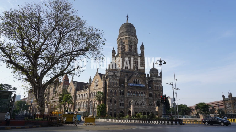 BMC Shares List of Active COVID-19 Vaccination Centres in Mumbai