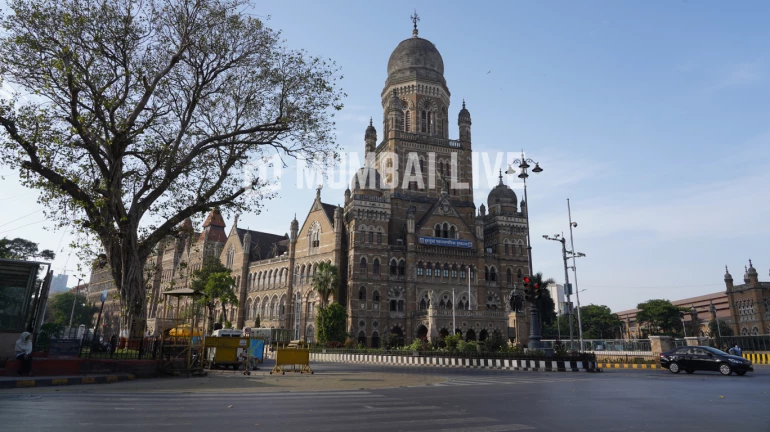 BMC Receives 2 Lakh Doses of COVID Vaccine; Struggle Continues For Private Centres BMC Receives 2 Lakh Doses of COVID Vaccine; Struggle Continues For Private Centres