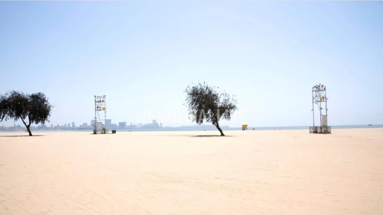 Rs 793 Crore Allocated for Six Cities in Maharashtra to Fight Air Pollution Rs 793 Crore Allocated for Six Cities in Maharashtra to Fight Air Pollution