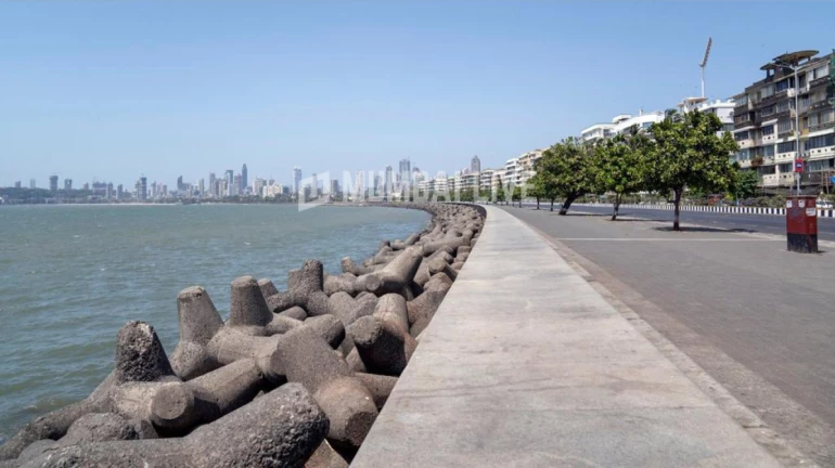 कोस्टल रोडच्या दक्षिणेकडील फूटपाथ मुंबईकरांसाठी खुला कोस्टल रोडच्या दक्षिणेकडील फूटपाथ मुंबईकरांसाठी खुला