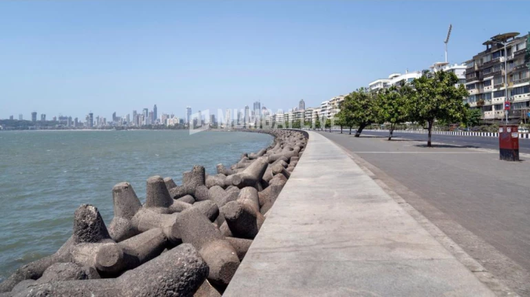 BMC To Reinstall Tetrapods In The Aftermath Of "Vibration" Complaints At Marine Drive