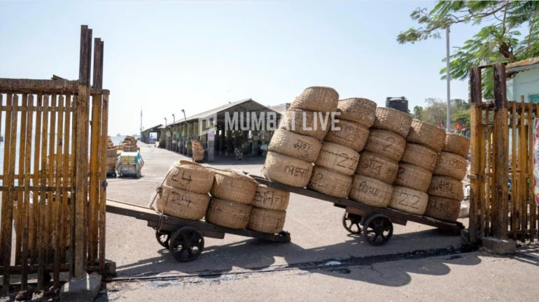 "तर महाराष्ट्रात ३ आठवड्यांचं कडक लाॅकडाऊन" "तर महाराष्ट्रात ३ आठवड्यांचं कडक लाॅकडाऊन"