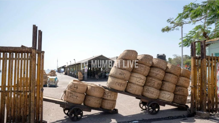 कोरोना रुग्णांच्या वाढत्या प्रादुर्भावामुळं पनवेल एपीएमसी मार्केट बंद कोरोना रुग्णांच्या वाढत्या प्रादुर्भावामुळं पनवेल एपीएमसी मार्केट बंद