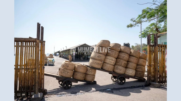 मुंबई में बढ़ सकता है लॉकडाउन? मुंबई में बढ़ सकता है लॉकडाउन?