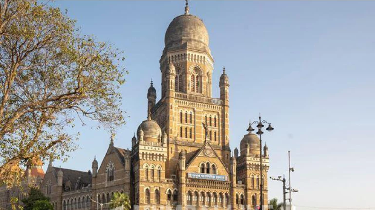 दिसंबर-जनवरी में हो सकते हैं BMC चुनाव दिसंबर-जनवरी में हो सकते हैं BMC चुनाव