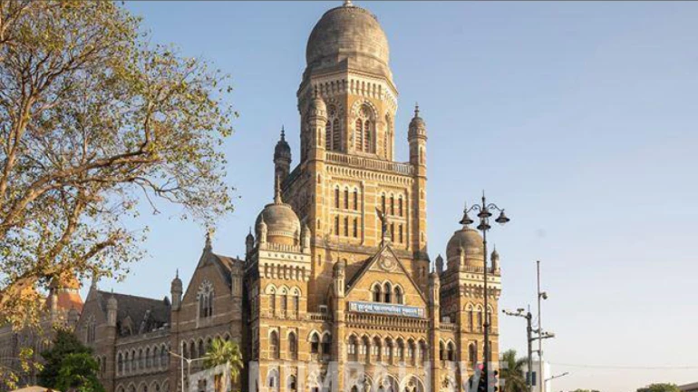 BMC चुनाव में महायुति की एकता की परीक्षा BMC चुनाव में महायुति की एकता की परीक्षा