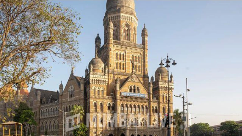 BMC चुनाव के लिए नॉमिनेशन प्रोसेस शुरू BMC चुनाव के लिए नॉमिनेशन प्रोसेस शुरू