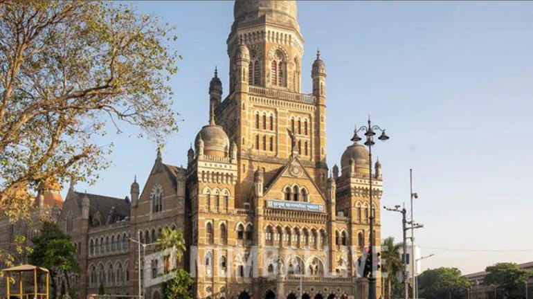 BMC Almost Exhausts Budgetary Provisions For Its Roads, Bridges, SWD Department