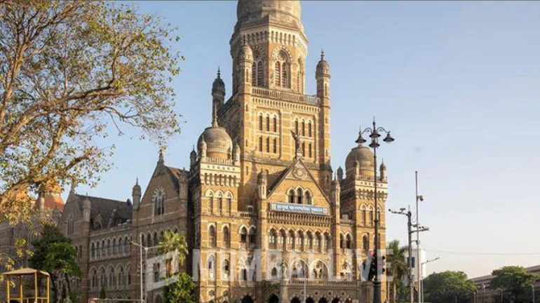 BMC Almost Exhausts Budgetary Provisions For Its Roads, Bridges, SWD Department BMC Almost Exhausts Budgetary Provisions For Its Roads, Bridges, SWD Department