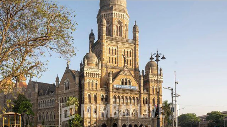 मुंबई -कचरा अलग करने के लिए बल्क वेस्ट जेनरेटर के लिए रजिस्ट्रेशन ज़रूरी किया मुंबई -कचरा अलग करने के लिए बल्क वेस्ट जेनरेटर के लिए रजिस्ट्रेशन ज़रूरी किया