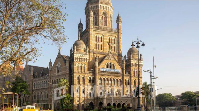 Encroachment Cleared Along Dahisar-Borivali Corridor; BMC Targets Slum-Based Businesses with Property Tax Encroachment Cleared Along Dahisar-Borivali Corridor; BMC Targets Slum-Based Businesses with Property Tax