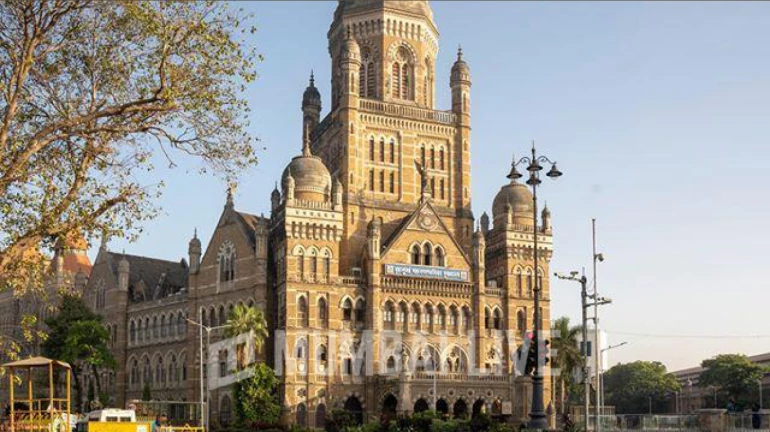 पावसाळ्यात BMC कर्मचाऱ्यांना SIR ड्युटीतून मुक्त करा : मकरंद नार्वेकर पावसाळ्यात BMC कर्मचाऱ्यांना SIR ड्युटीतून मुक्त करा : मकरंद नार्वेकर