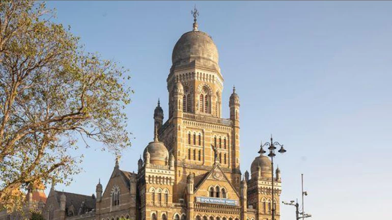 मुंबई- बीएमसी ने स्वच्छ हवा प्रदान करने के लिए अंधेरी और उसके आसपास 36 हजार पेड़ लगाए मुंबई- बीएमसी ने स्वच्छ हवा प्रदान करने के लिए अंधेरी और उसके आसपास 36 हजार पेड़ लगाए