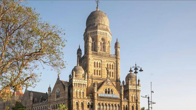 महाराष्ट्र- स्थानीय निकाय चुनाव दिवाली में होने की संभावना महाराष्ट्र- स्थानीय निकाय चुनाव दिवाली में होने की संभावना