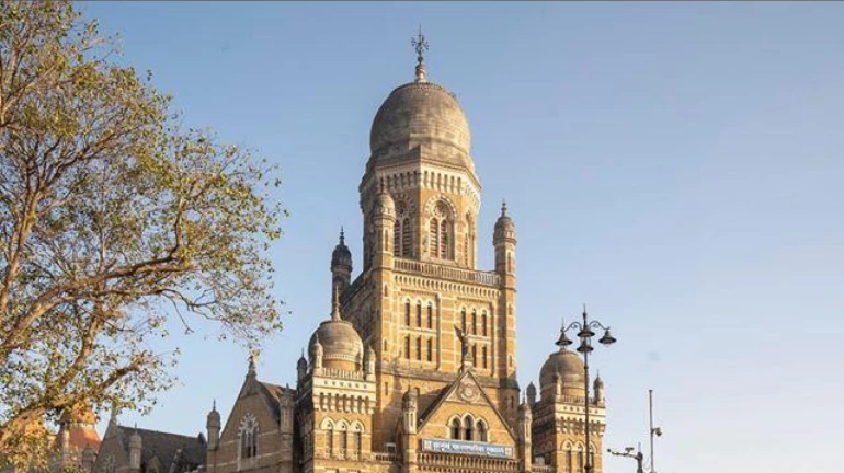 बीएमसी शिक्षा बजट 2021 की पूरी जानकारी देखे यहां बीएमसी शिक्षा बजट 2021 की पूरी जानकारी देखे यहां