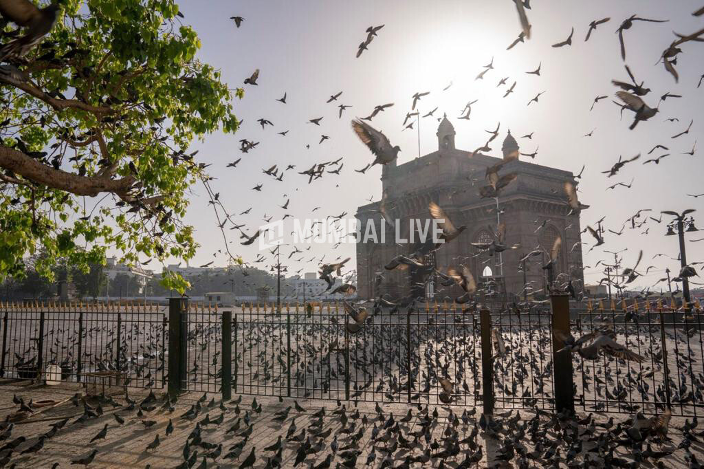 Gateway conservation project to be completed by Feb 2025