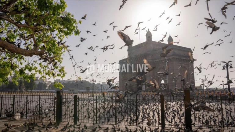 Good News: These activities will be allowed in Mumbai, Pune and other parts of Maharashtra from June 3 Good News: These activities will be allowed in Mumbai, Pune and other parts of Maharashtra from June 3