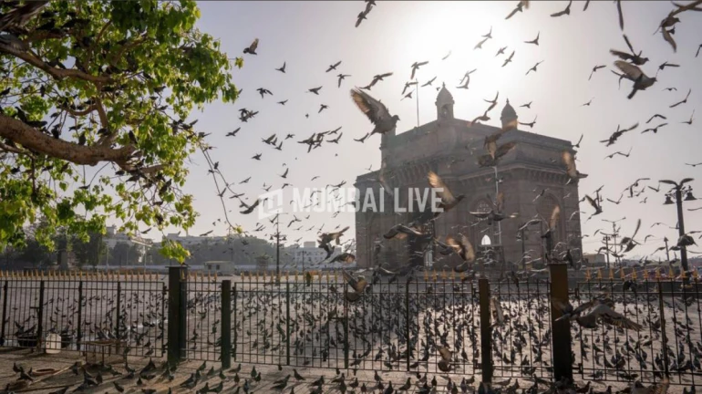 Maha Govt Modifies Rules of Cluster Development Scheme; Projects Now Permitted on Narrower Roads Maha Govt Modifies Rules of Cluster Development Scheme; Projects Now Permitted on Narrower Roads