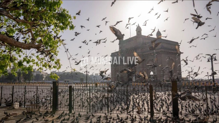 राज्य में स्मारकों को फिर से खोलने का निर्णय अभी तक नहीं लिया गया राज्य में स्मारकों को फिर से खोलने का निर्णय अभी तक नहीं लिया गया