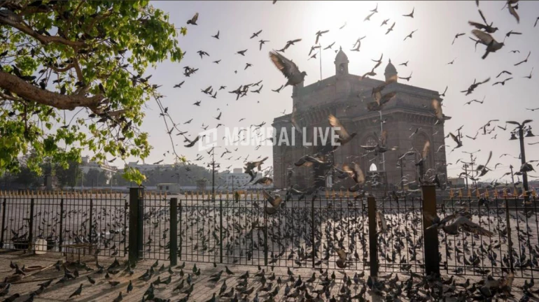 Air quality to deteriorate during winters, a common phenomenon: Experts Air quality to deteriorate during winters, a common phenomenon: Experts