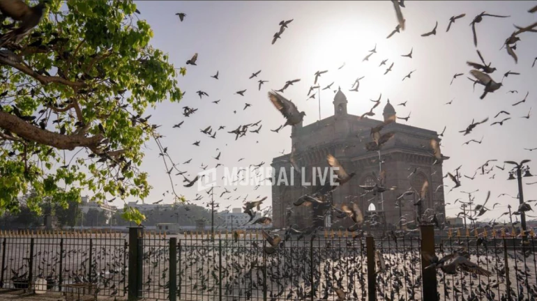 नोव्हेंबरमध्ये 'या' तारखेला संपूर्ण महाराष्ट्राला अतिरिक्त सुट्टी जाहीर! नोव्हेंबरमध्ये 'या' तारखेला संपूर्ण महाराष्ट्राला अतिरिक्त सुट्टी जाहीर!