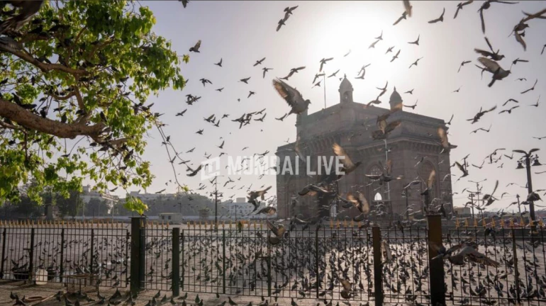 Partly cloudy skies observed over Mumbai, Thane and Palghar Partly cloudy skies observed over Mumbai, Thane and Palghar
