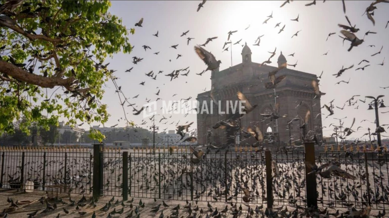 दिलासादायक! मुंबई १०० टक्के अनलॉक होणार? दिलासादायक! मुंबई १०० टक्के अनलॉक होणार?