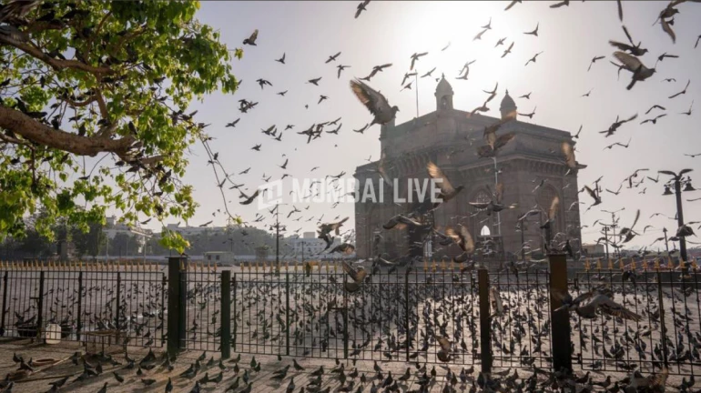 Mumbai to experience hot, humid conditions for a week Mumbai to experience hot, humid conditions for a week