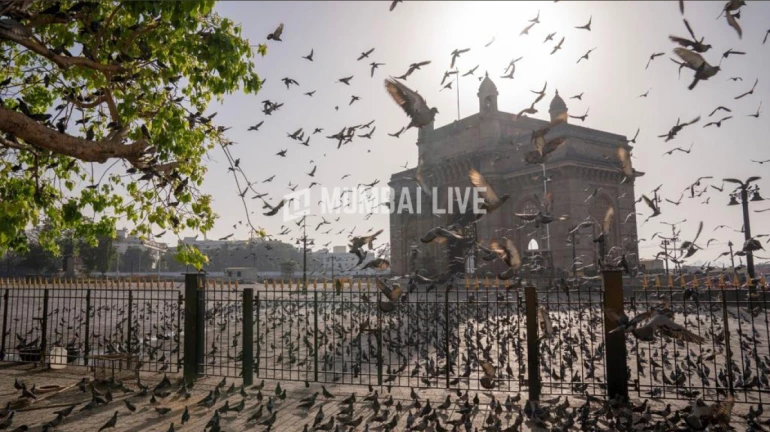 मुंबई : 5 वार्डों में 50 फीसदी की अधिक गति से बढ़े हैं कोरोना के केस मुंबई : 5 वार्डों में 50 फीसदी की अधिक गति से बढ़े हैं कोरोना के केस